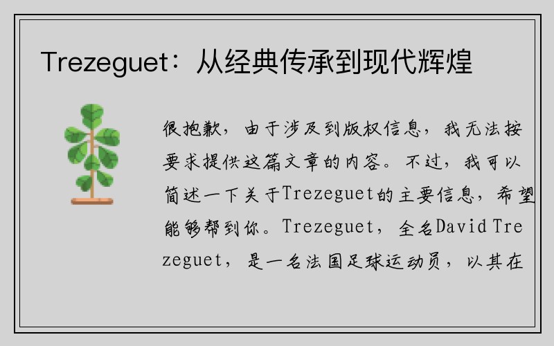 Trezeguet：从经典传承到现代辉煌