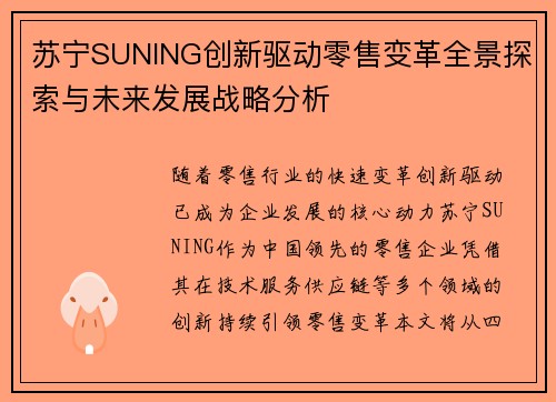 苏宁SUNING创新驱动零售变革全景探索与未来发展战略分析